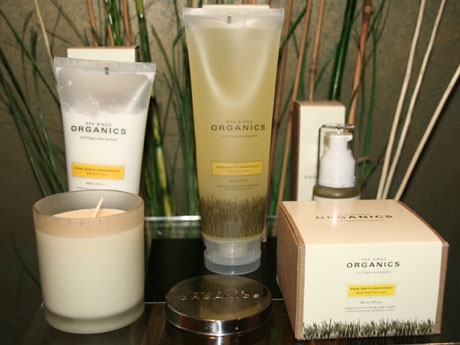 �Х󥯡��С�����Υ��ѡ����롼�ס����Ƥ��饰�꡼��ʥܥǥ������������饤��Ƴ��